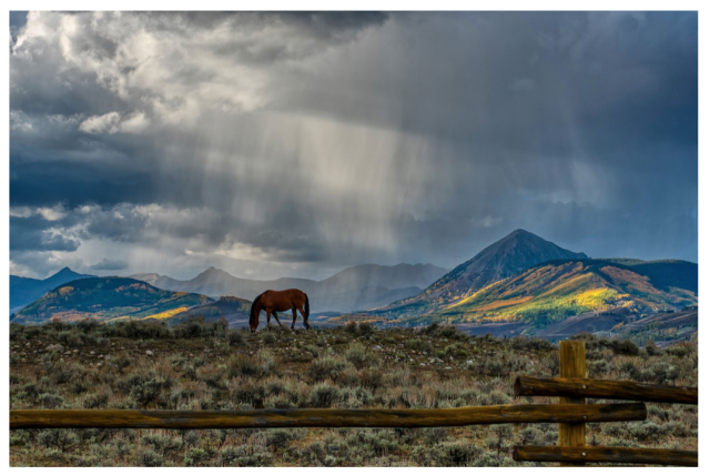 Storm Horse
