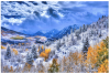Snow Glow